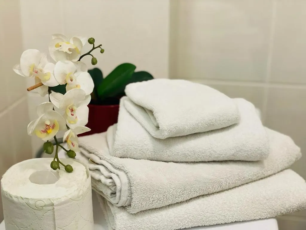 Tranzzit Airport Apartament Отопени 0*,  Румыния