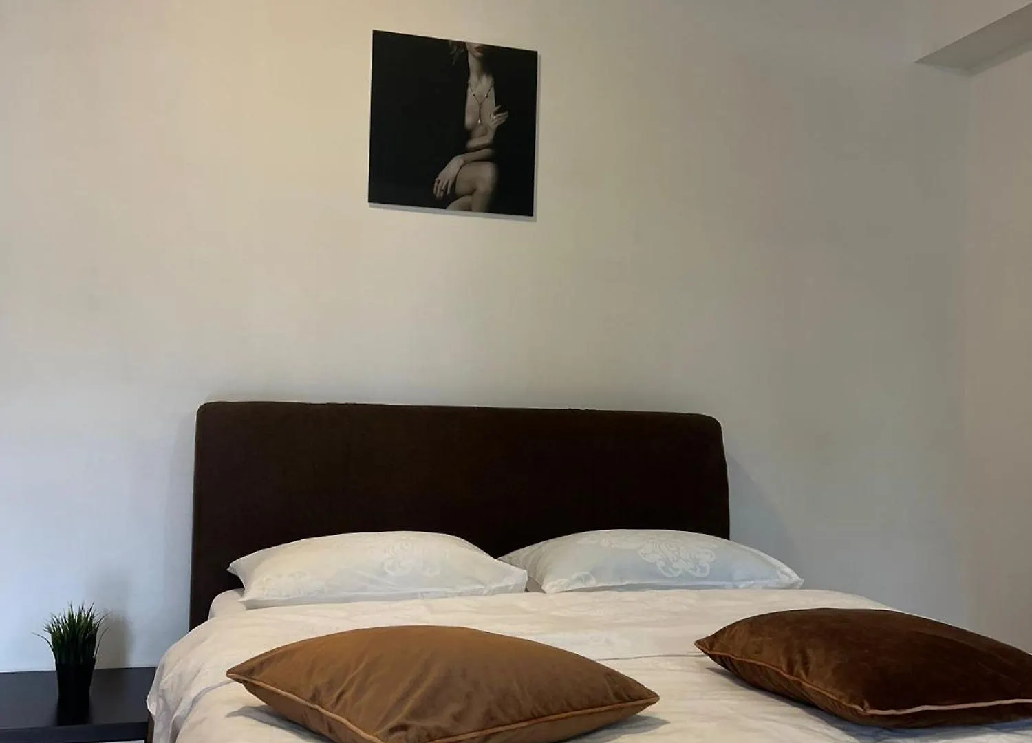 Tranzzit Airport Apartament Отопени